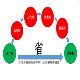 速冻前处理,湖南速冻生产线,汇尔宝