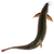 泥鳅鱼、有良水产养殖(在线咨询)、张家口泥鳅缩略图1