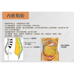  深圳ret*仪器厂家