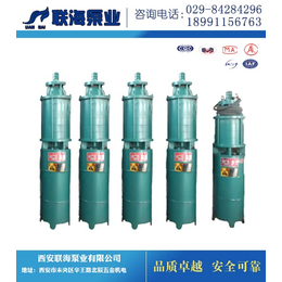 渭南潜水泵供应|山西解州水泵陕西*|潜水泵供应