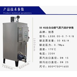 旭恩50kg燃气锅炉炉热水锅炉家用燃气炉 蒸汽机*