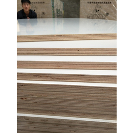 16厘桉木生态板 临沂生态板生产工厂 生态板供应