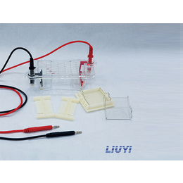 电泳仪、什么是电泳仪、北京德龙翔(*商家)