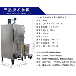 旭恩30kg燃油锅炉柴油小型立式蒸汽锅炉商用蒸气发生器