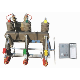 民扬电气、ZW8、ZW8智能真空断路器