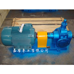 嘉睿厂家促销YCB3-0.6圆弧齿轮油泵 铸铁*圆弧齿轮泵