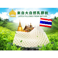 泰国TAIHI泰嗨乳胶枕头怎么样？