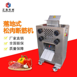广州牛排嫩化机全不锈钢立式电动牛羊肉松肉断筋机TJ-208