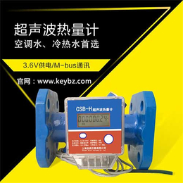 厂家*管道式超声波热量表上海佰质仪器仪表有限公司