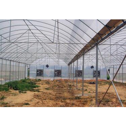 蔬菜大棚建设|吐鲁番蔬菜大棚|鑫华生态农业(查看)