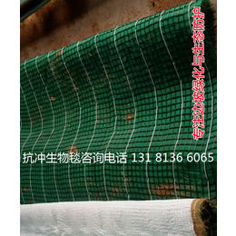 膨润土防水毯 生态毯 环保草毯绿化防护型 椰丝毯 植被毯厂家