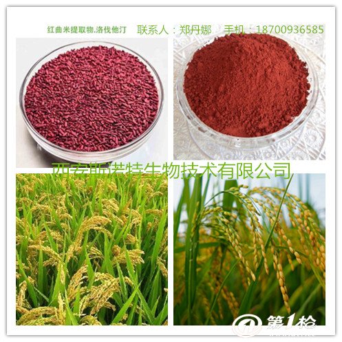 红曲米植物的样子图片