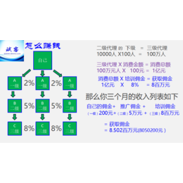 斌客电子商务(图)、如何开发微商城、微商城