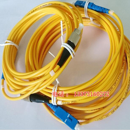 宽带光纤线 网络级尾纤跳纤E-COM单模单芯光纤跳线 