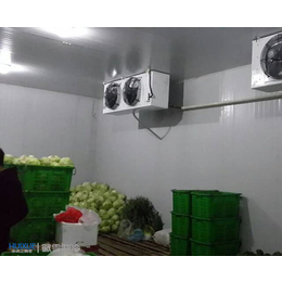 安徽徽雪(图)|小型蔬菜冷库安装|安徽蔬菜冷库