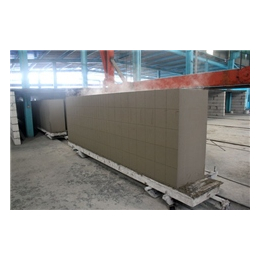 天孚新型墙体材料公司_轻质蒸压砂加气混凝土砌块