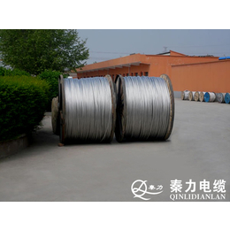 咸阳钢芯铝绞线、陕西电力电缆厂、钢芯铝绞线图片