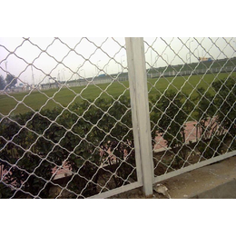 南通明翰美格网防盗窗 车间隔断网 小区围栏网 园林防护网缩略图