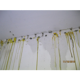 地下室渗水,【赛诺技术】,上街地下室渗水