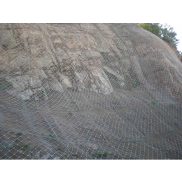 边坡防护网施工 主动边坡防护网 柔性边坡防护网