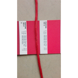 拉菲纸绳,春裕纸绳厂(在线咨询),广州纸绳
