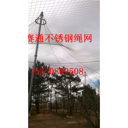 动物园防护网 钢丝绳网兜厂家热卖 