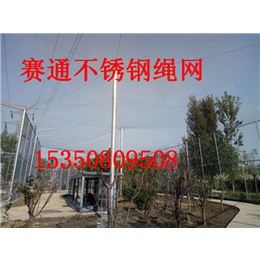 供应四川不锈钢绳网 桥梁用不锈钢防护网厂家缩略图