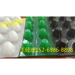 北京塑料排水板厂家+北京蓄排水板价格