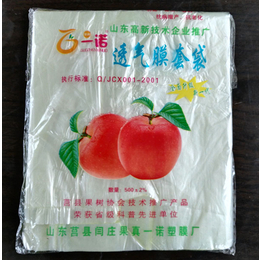 常兴塑膜(图)_塑膜苹果袋供应_塑膜苹果袋