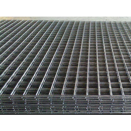 冷镀锌电焊网尺寸_冷镀锌电焊网_安平腾乾(图)