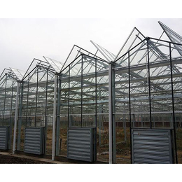 蔬菜玻璃温室大棚、益兴诚钢构温室工程、玻璃温室大棚