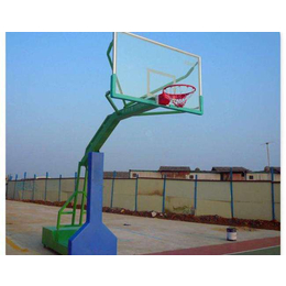 165篮球架授权*|上海165篮球架|强森厂家*(查看)