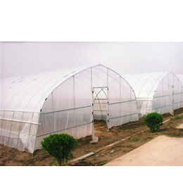 合肥建野(图)|薄膜温室大棚|亳州薄膜温室