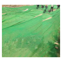 绿化防尘网图片|本溪防尘网|聚远安全网(查看)