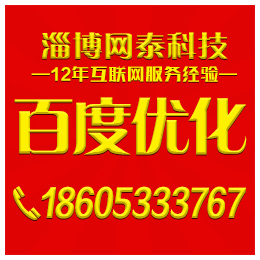 周村网站优化公司电话、淄博桓台网站优化公司、淄博网泰科技