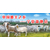 北京宁夏滩羊北京盐池滩羊销售缩略图1