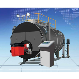 安徽尚亿锅炉(图)|蒸汽发生器多少钱|安徽蒸汽发生器