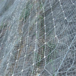 呼伦贝尔边坡防护网_边坡主动防护网_绿色边坡防护网