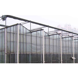 青州齐鑫温室(在线咨询)、玻璃大棚建造、文络式玻璃大棚建造