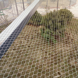 不锈钢防护网  高空防坠物安全网  动物园狮子老虎网