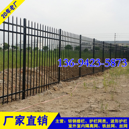 梅州项目部隔离栅 汕尾公园隔离栅栏生产厂 锌钢护栏价格