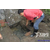 清理化粪池污泥,三禾田排污排水管道(在线咨询),新阁化粪池缩略图1