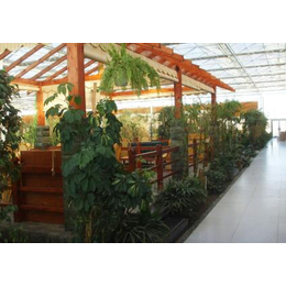 四平温室餐厅,青州鑫华生态农业科技,生态温室餐厅造价
