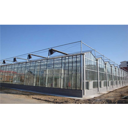 青州齐鑫温室|全钢化真空玻璃|全钢化真空玻璃大棚温室