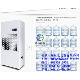 工业除湿机 地下室|德业除湿机价格|桐城工业除湿机