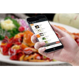 餐饮软件|苏州惠商电子科技|餐饮软件价格