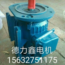 天津北京河北电机厂家供应三相异步电动机四级立式机械设备用电机缩略图