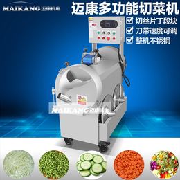 台湾切菜机 全自动切丝切片切丁切段机 智能切菜机 商用切菜机