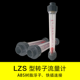 *供应LZS-50液体塑料管转子流量计原装现货