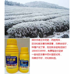 植物防冻剂主要成分|拜农植物防冻剂中药叶面肥|植物防冻剂